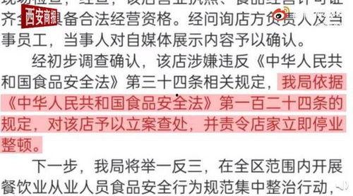 最新黄瓜爆料视频大全,精彩瞬间尽收眼底
